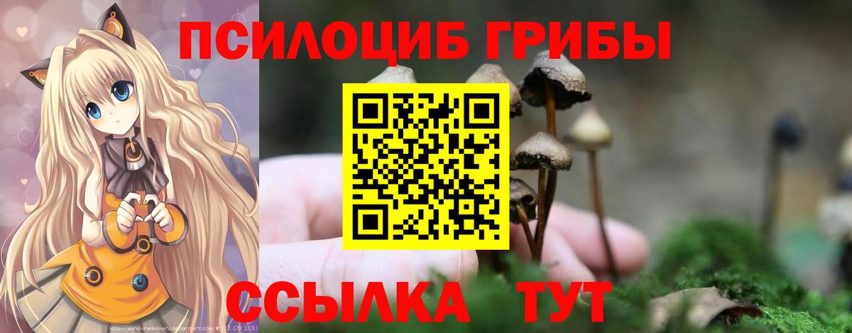 Галлюциногенные грибы MAGIC MUSHROOMS  Вход с VPN  Йошкар-Ола 